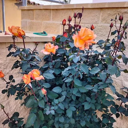 Casa rural Casas Guemon *